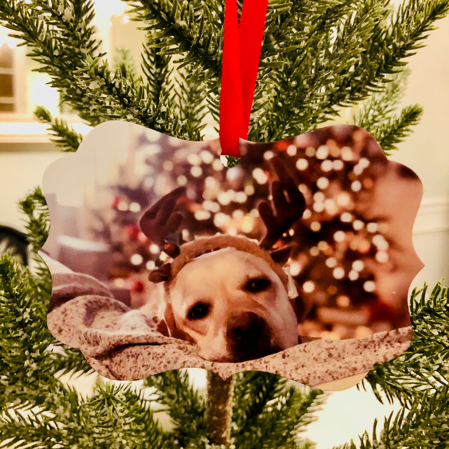 Photo Ornaments